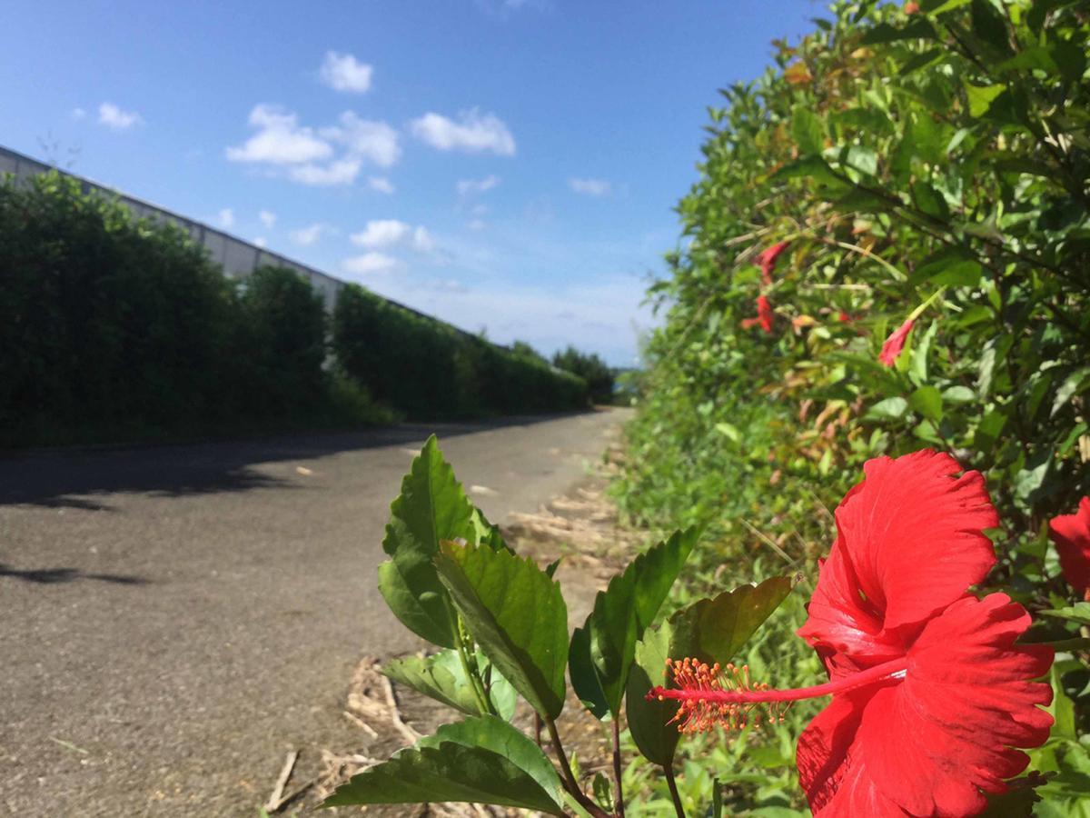 הוילה Higashi Matayoshi Coffee Farm מראה חיצוני תמונה
